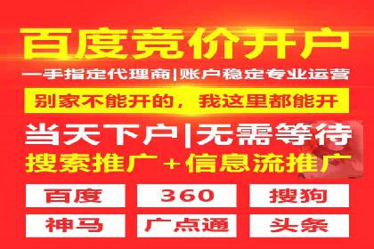 百度推广实战技巧：案例详解